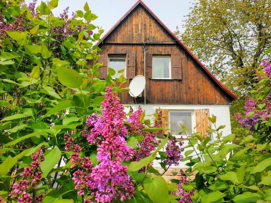 Dom Sielski W Gorach Stolowych Radkow