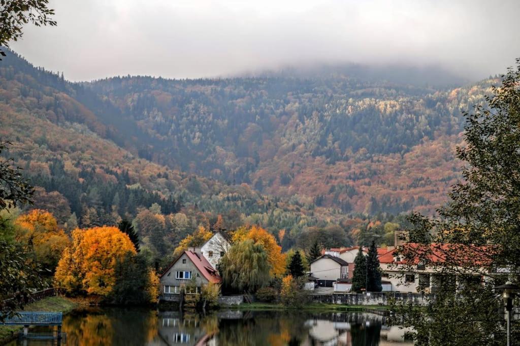 Holiday home Dom Sielski W Gorach Stolowych *