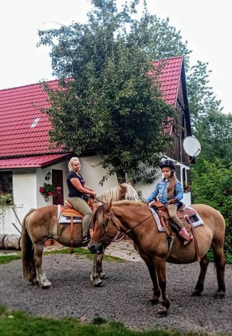 Dom Sielski W Gorach Stolowych Holiday home Radkow